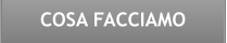 COSA FACCIAMO