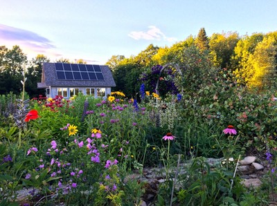 Office and sunflowers