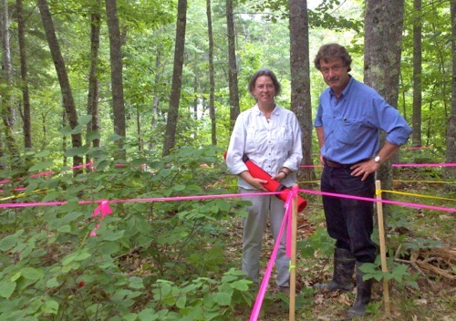 Architects staking out a building